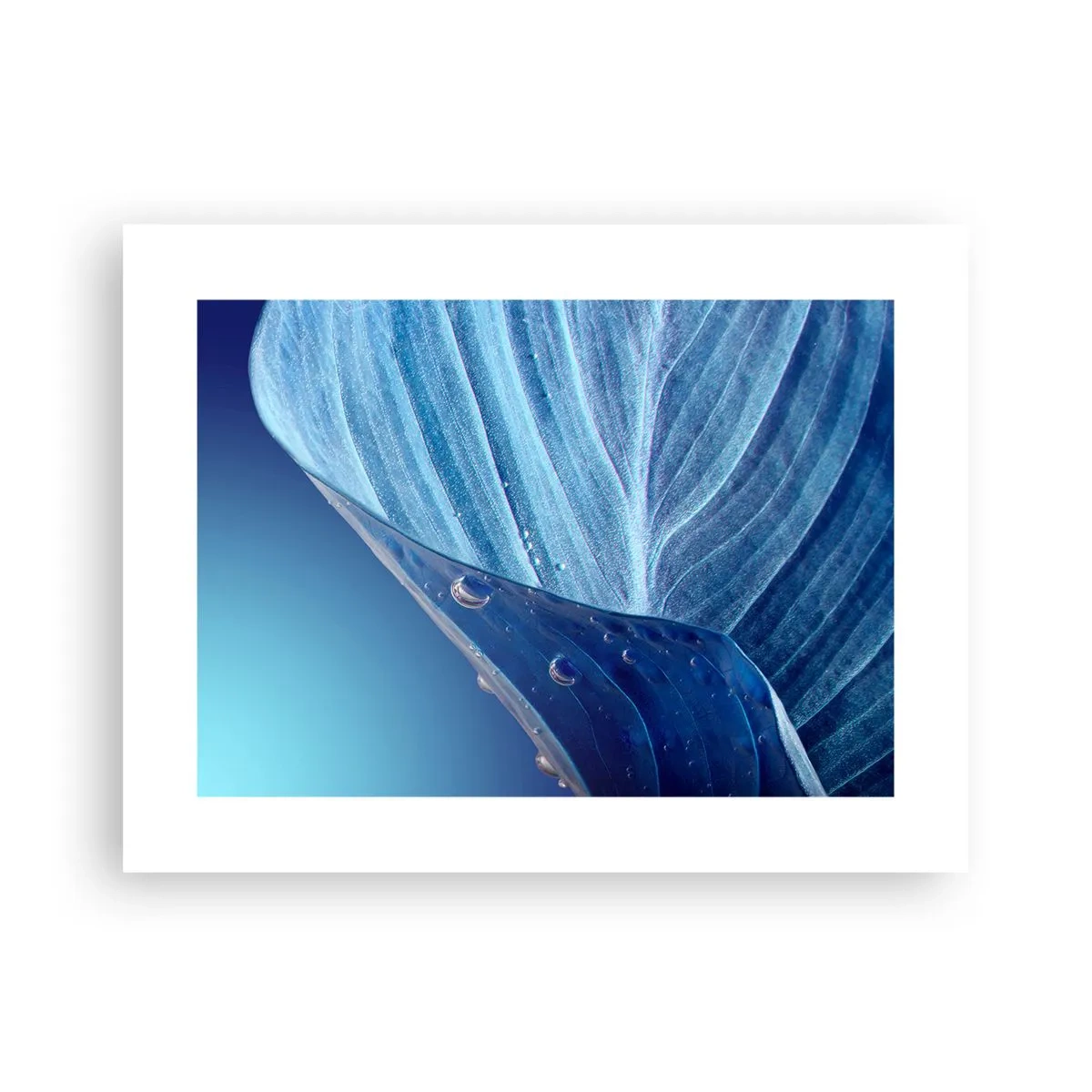 Poszter - A kék rejtett cseppjei - 40x30 cm