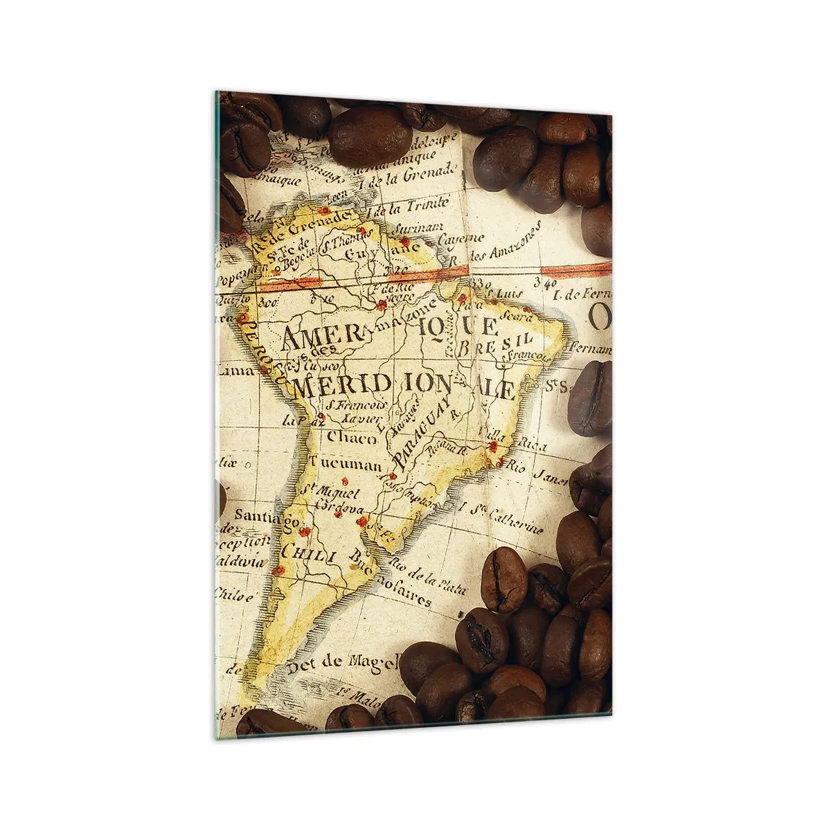 Üveg kép - Honnan származik a legjobb kávé? - 70x100 cm