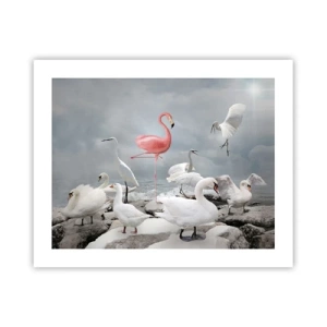 Poszter - Hogy kerültem ide? - 50x40 cm