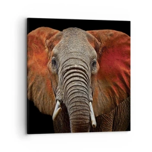 Vászonkép - Én vad vagyok, és te? - 70x70 cm