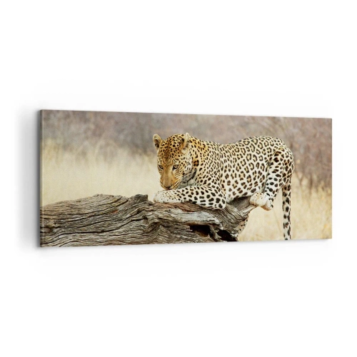 Vászonkép - A magam útjait járom - 100x40 cm