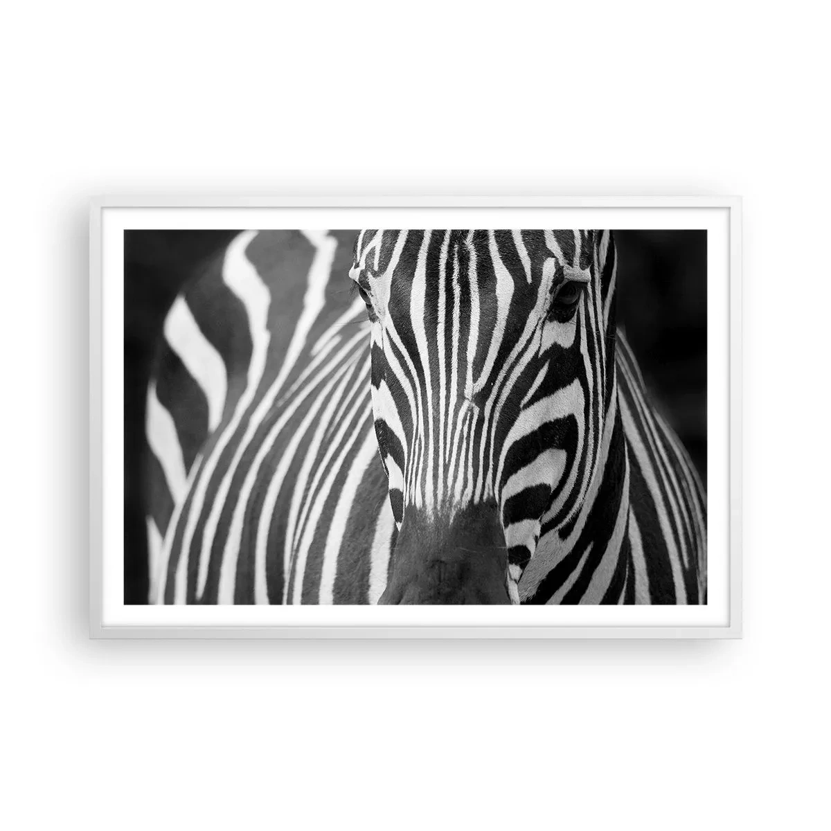 Poszter fekete keretben - A világ fekete-fehér - 91x61 cm