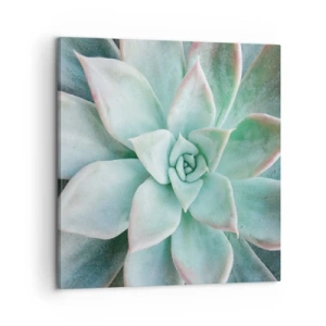 Vászonkép - A sivatag szíve - 60x60 cm