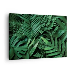 Vászonkép - Zöld trópusi levelek sűrű és természetes összetételben - 70x50cm - Összebújva a zöldben - Modern fali dekoráció nappalihoz és hálószobához ARTTOR