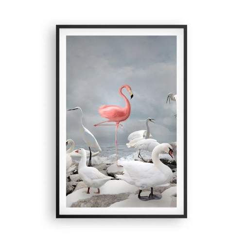 Poszter fehér keretben - Hogy kerültem ide? - 61x91 cm
