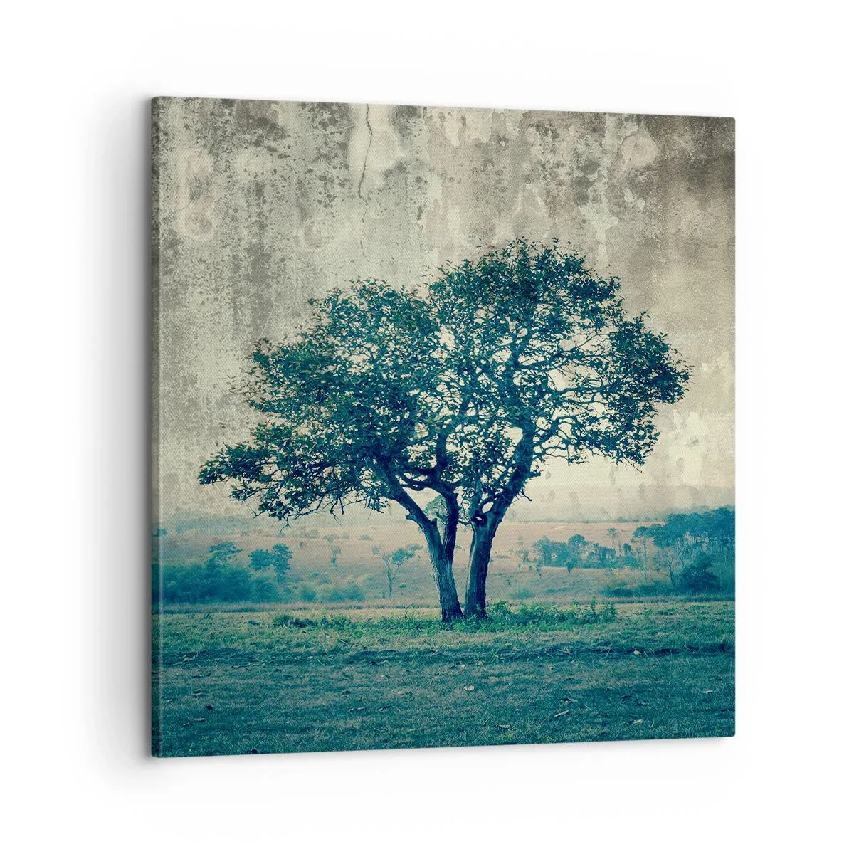 Vászonkép - Almafa a kék mezőn? - 60x60 cm