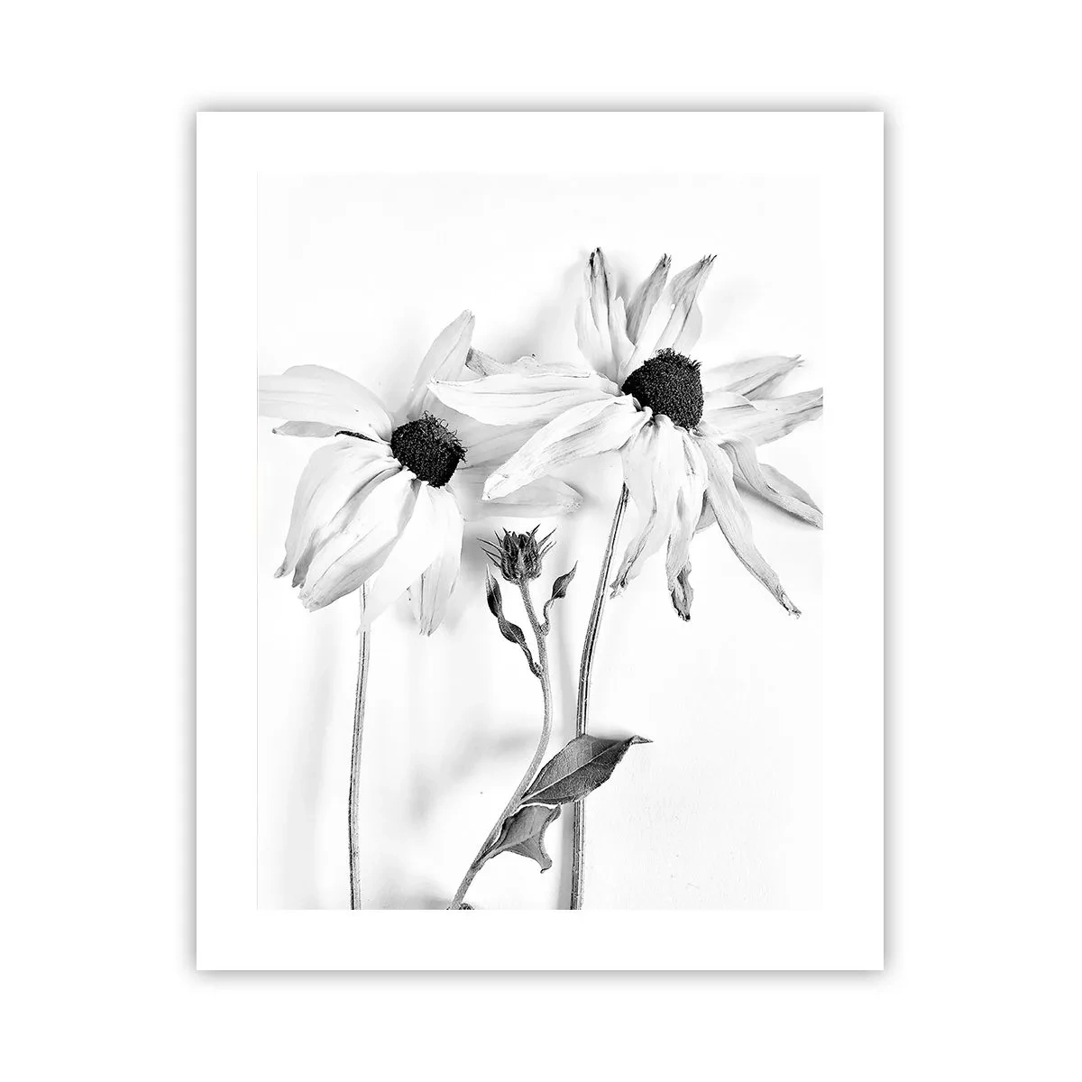 Poszter - Senki sem akar egyedül lenni - 40x50 cm