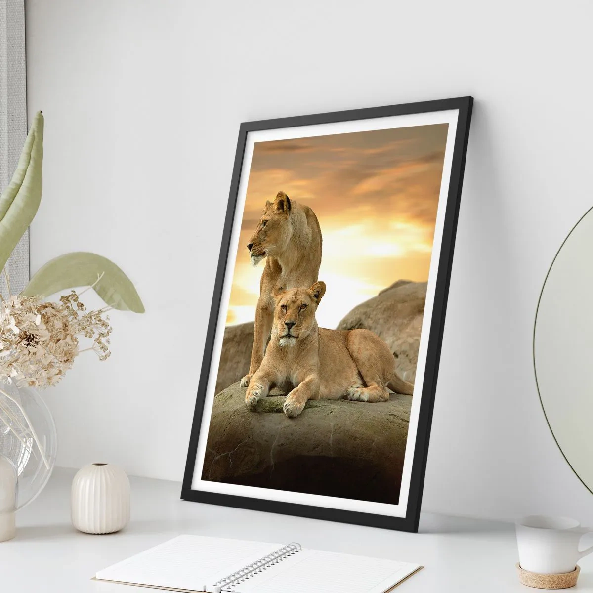 Poszter fehér keretben - Királyi felség - 30x40 cm