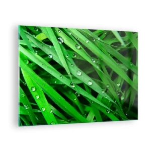Üveg kép - Zöld fűszálak harmatcseppekkel - 70x50cm - Játssz zöldet - Modern fali dekoráció nappalihoz és hálószobához ARTTOR