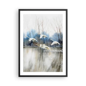 Poszter fehér keretben - Egy hattyúcsapat úszkál a víz felett festői stílusban - 50x70cm - Mint a vadhattyúkról szóló mesében - Modern fali dekoráció nappalihoz és hálószobához ARTTOR