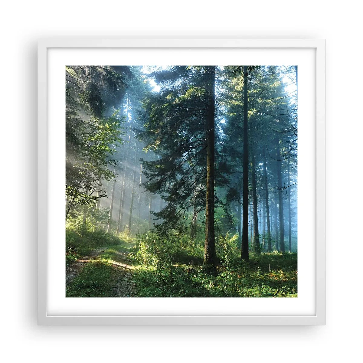 Poszter fekete keretben - Sugárzó reggel - 50x50 cm