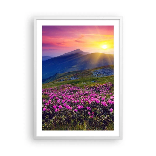 Poszter fekete keretben - … És körülötte hegyi fenyő és gyógynövények illata - 50x70 cm