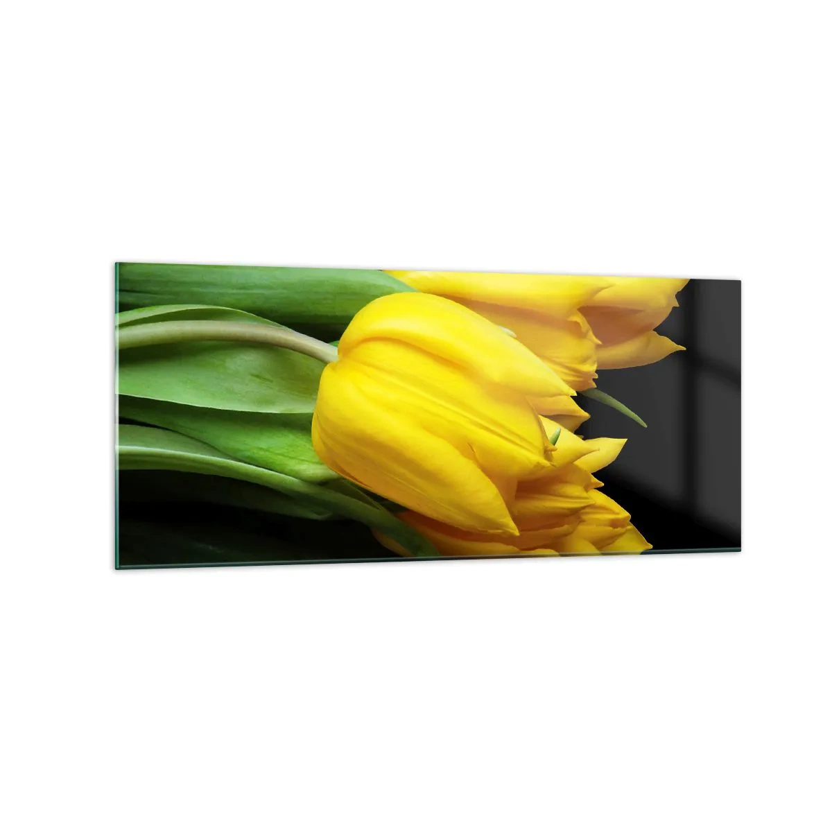 Üveg kép - Tiszta napból készült - 120x50 cm