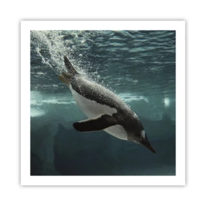 Poszter - Üdv a világomban - 60x60 cm