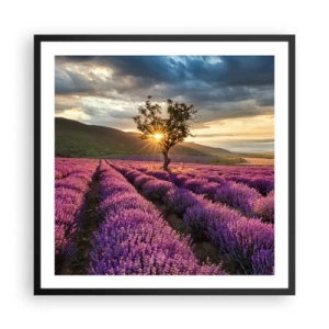 Poszter fehér keretben - Lila színű illat - 60x60 cm