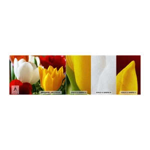 Fotótapéta Minta Premium Sand - Tulipán láz - Virágok, Tulipánok, Csokor virág - 100x30 cm