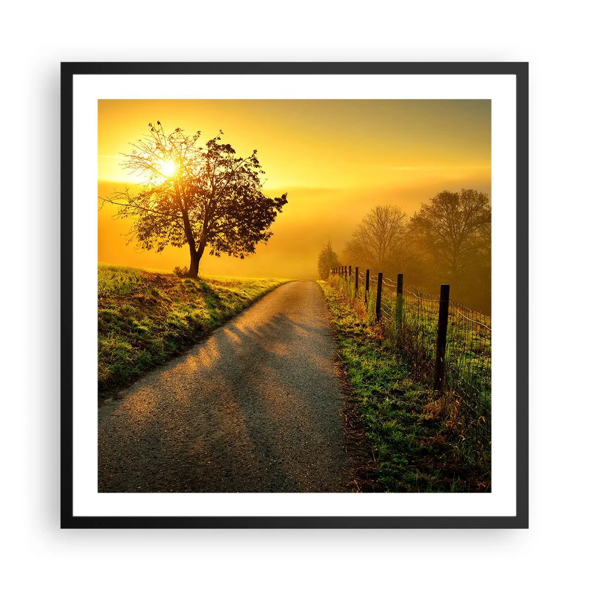 Poszter fehér keretben - Mézes délután - 60x60 cm