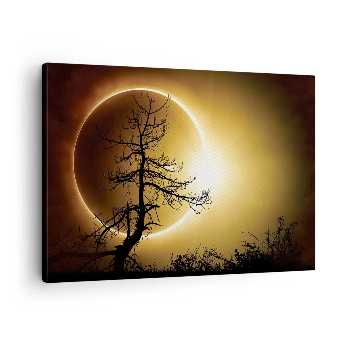 Vászonkép - Napfogyatkozás egy fa sziluettjével az előtérben - 70x50cm - Teljes napfogyatkozás - Modern fali dekoráció nappalihoz és hálószobához ARTTOR
