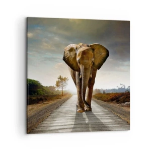 Vászonkép - És egyáltalán nem porcelánraktárban - 50x50 cm