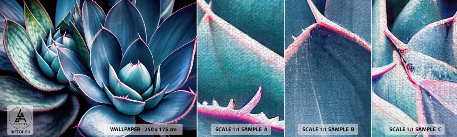 Fotótapéta Minta Premium Canvas - Életerő - Virágok, Növénytan, Pozsgás növények - 100x30 cm