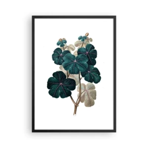 Poszter fehér keretben - Botanikai illusztráció sötétzöld levelekkel világos háttér előtt - 50x70cm - Egy régi herbáriumból - Modern fali dekoráció nappalihoz és hálószobához ARTTOR