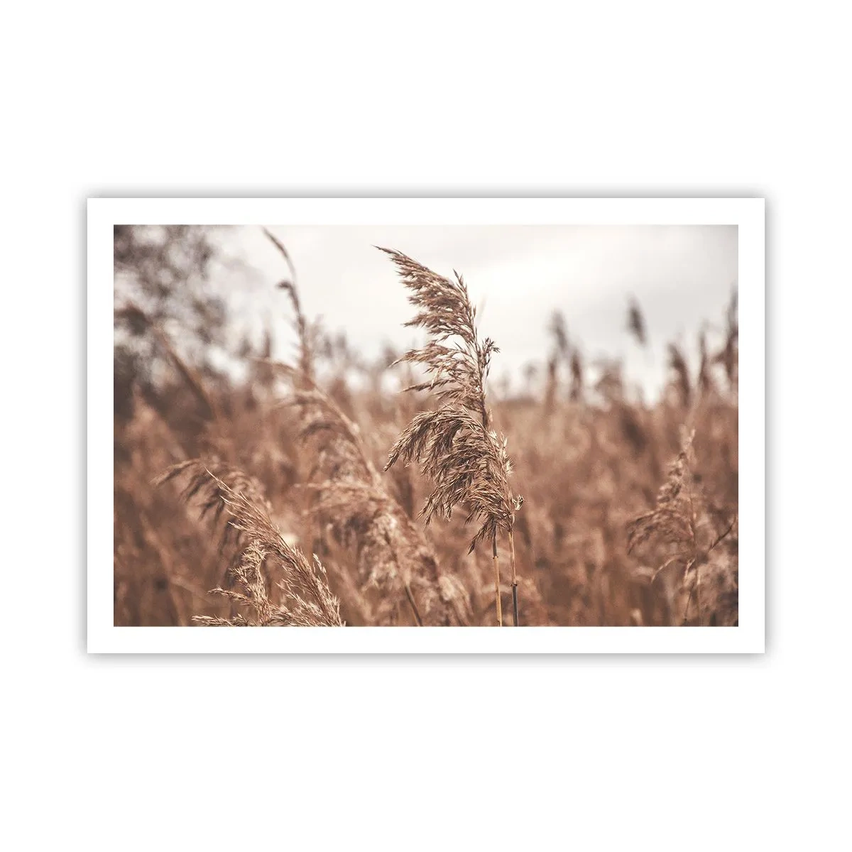 Poszter - Ősz van már a mezőkön - 91x61 cm