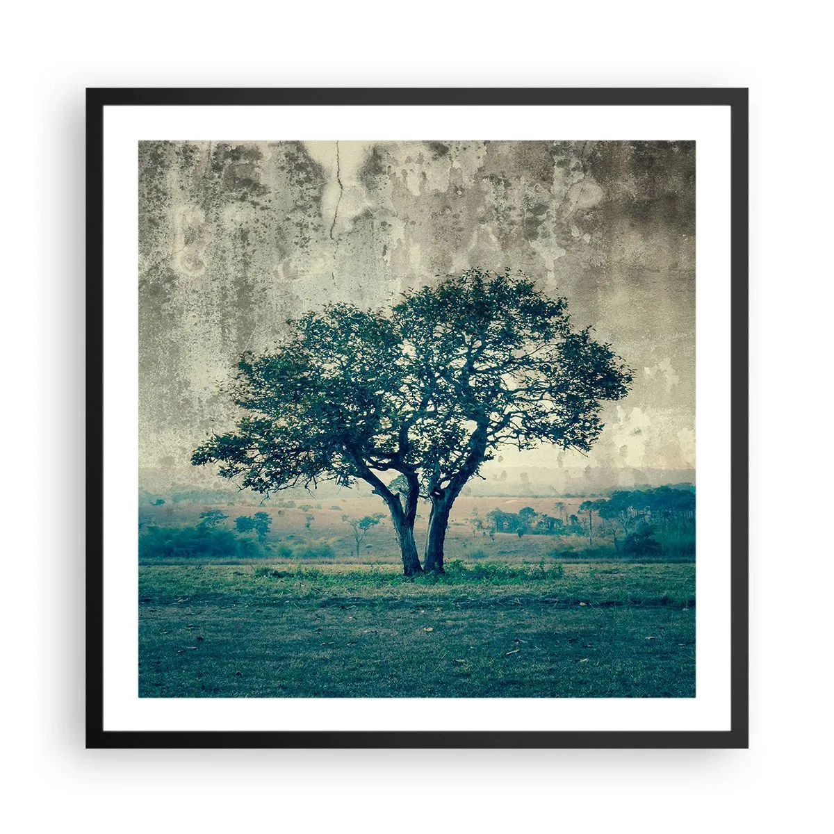 Poszter fehér keretben - Almafa a kék mezőn? - 60x60 cm