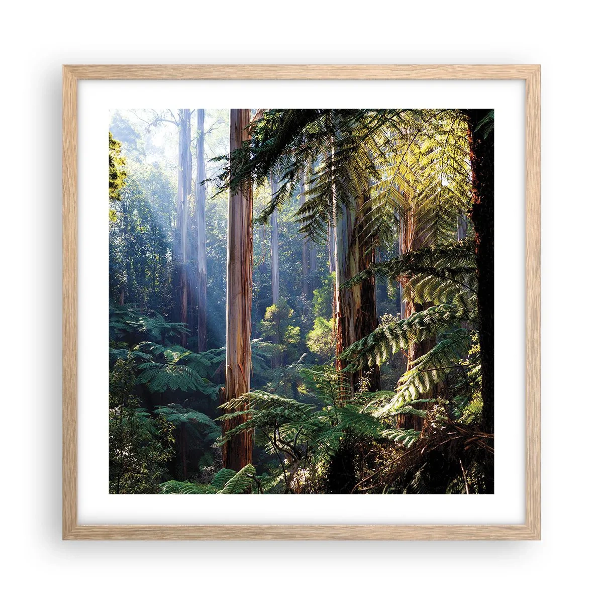 Poszter világos tölgy keretben - Erdei mese - 50x50 cm