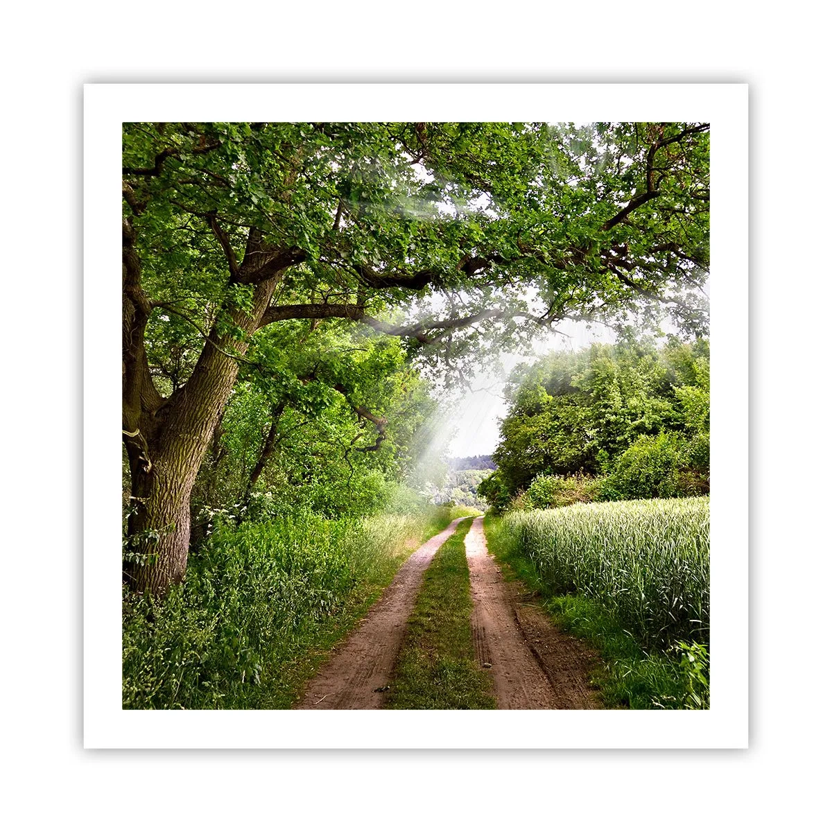 Poszter - Et in Arcadia ego - 60x60 cm