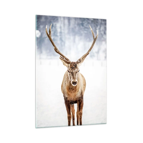 Üveg kép - Egyenesen a hóködből - 50x70 cm