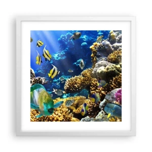 Poszter fekete keretben - Nagy forgalom a nyaraló ösvényen - 40x40 cm