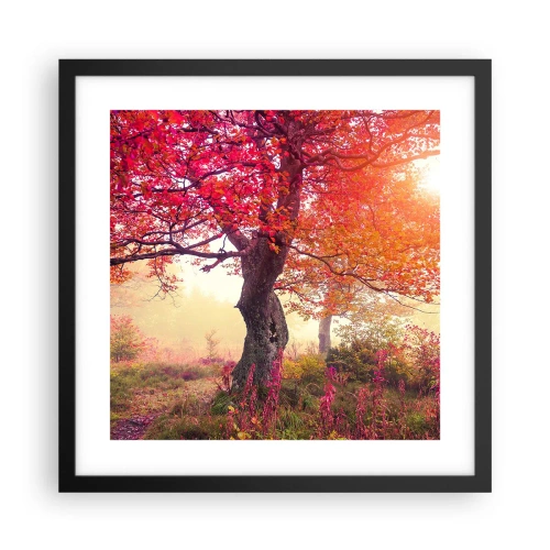 Poszter fehér keretben - Virágzás őrülete - 40x40 cm