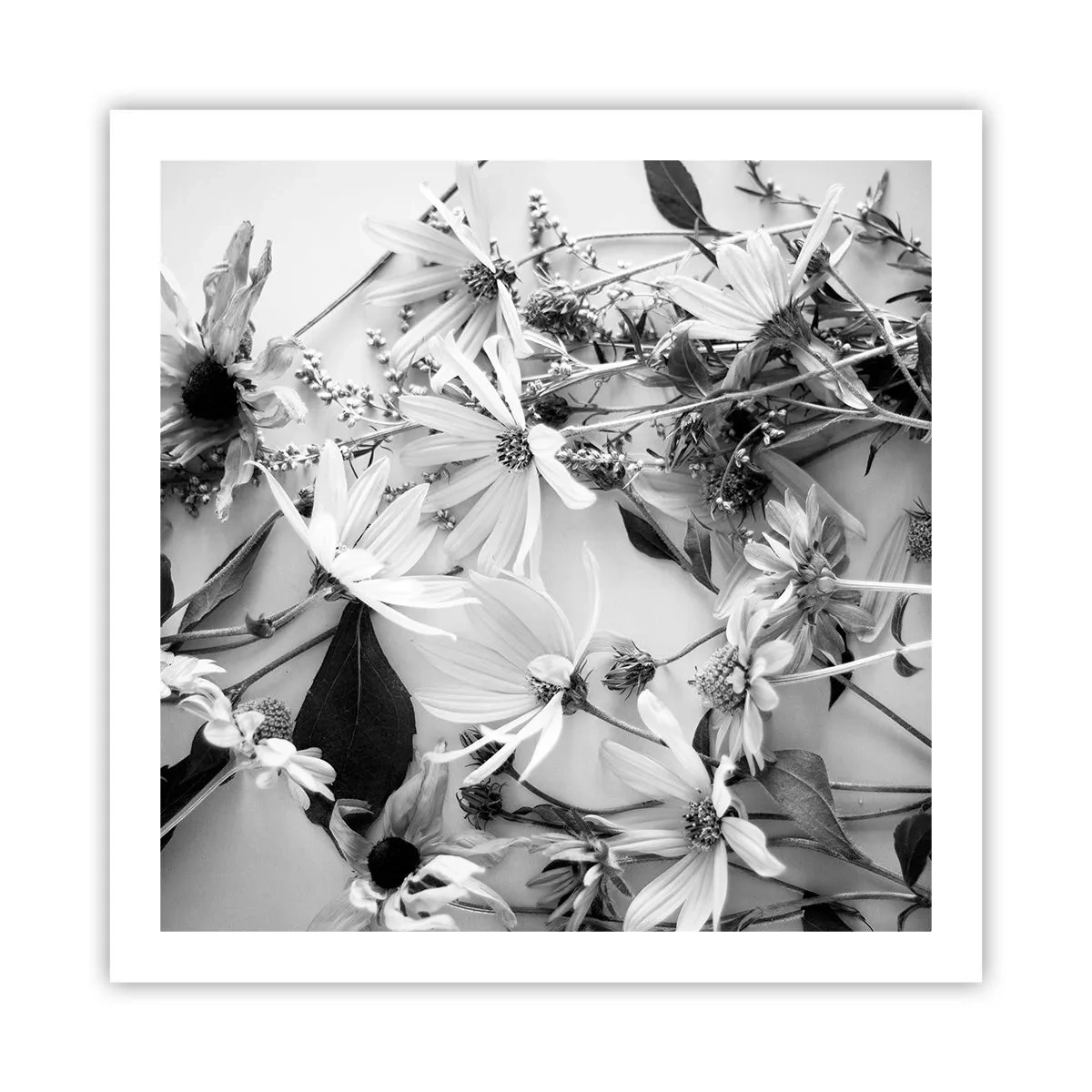 Poszter - Nem virágcsokor - 60x60 cm