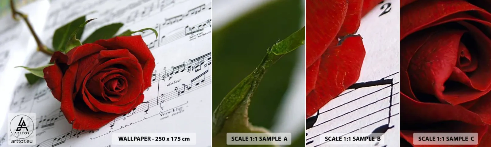 Fotótapéta Minta Standard Eco - Érzések zenéje skarlátvörös színben - Virágok, Rózsa, Zene - 100x30 cm