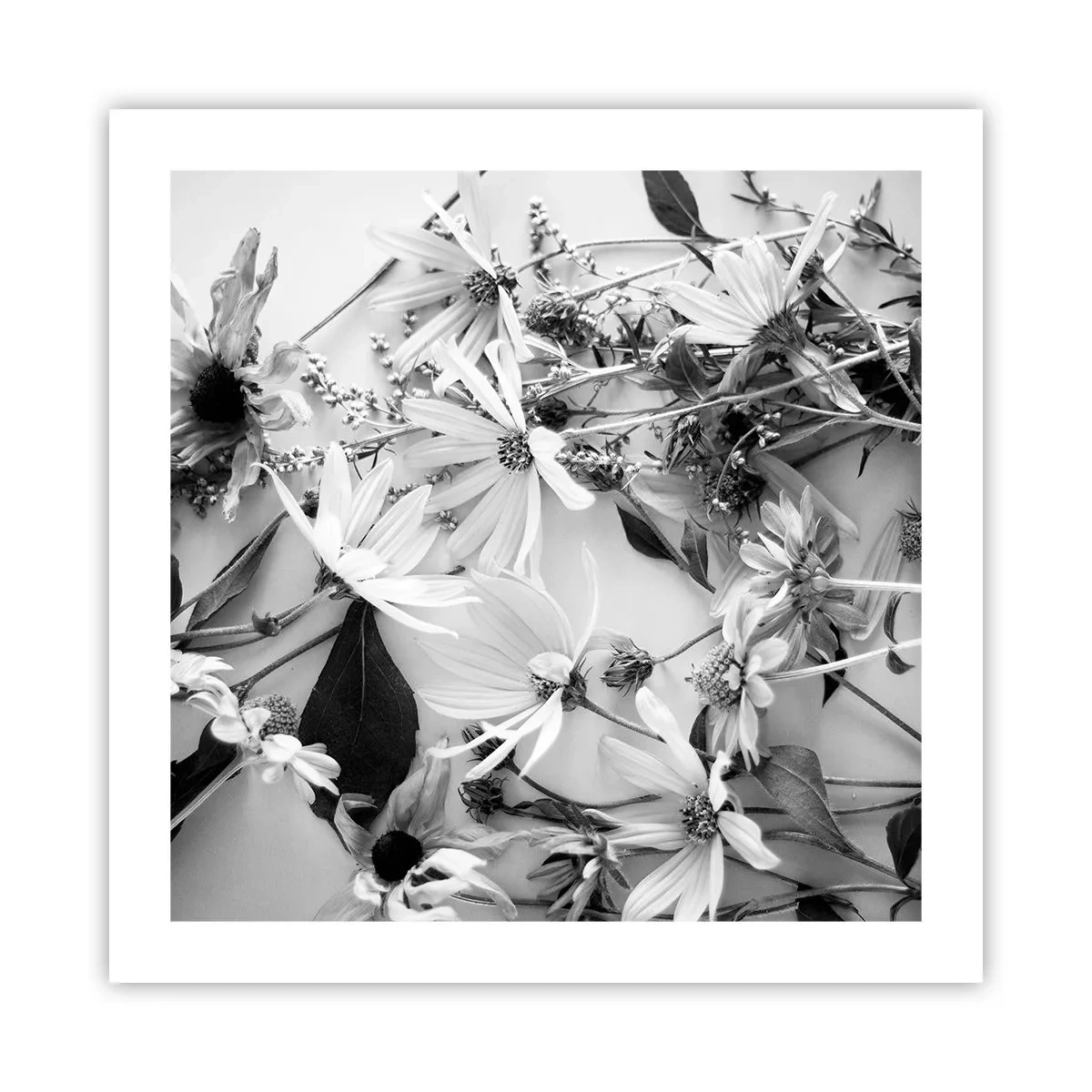Poszter - Nem virágcsokor - 50x50 cm