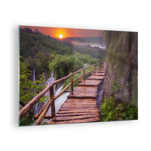 Üveg kép - Egy fa ösvény a zöld növényzet között naplementekor - 70x50cm - Hihetetlen szépség - Modern fali dekoráció nappalihoz és hálószobához ARTTOR