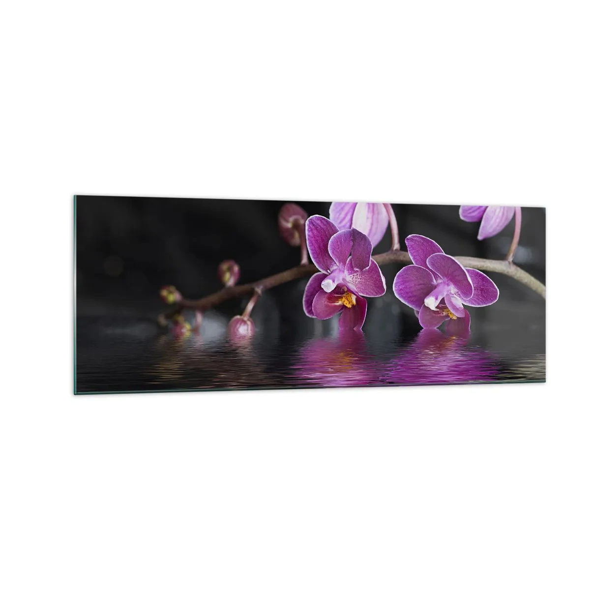 Üveg kép - Lila a szépség tükörképe - 140x50 cm
