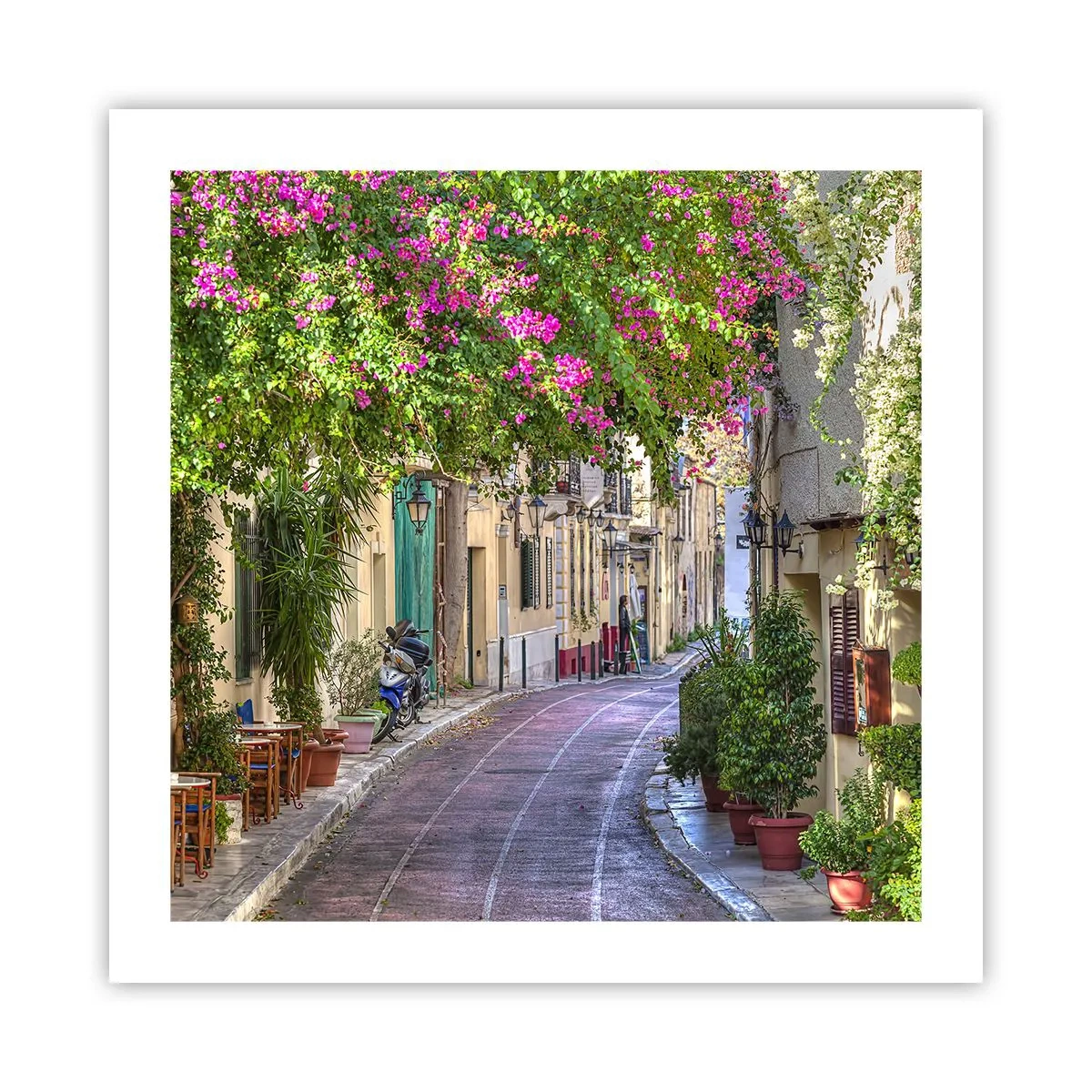 Poszter - Virágzó sikátor - 50x50 cm