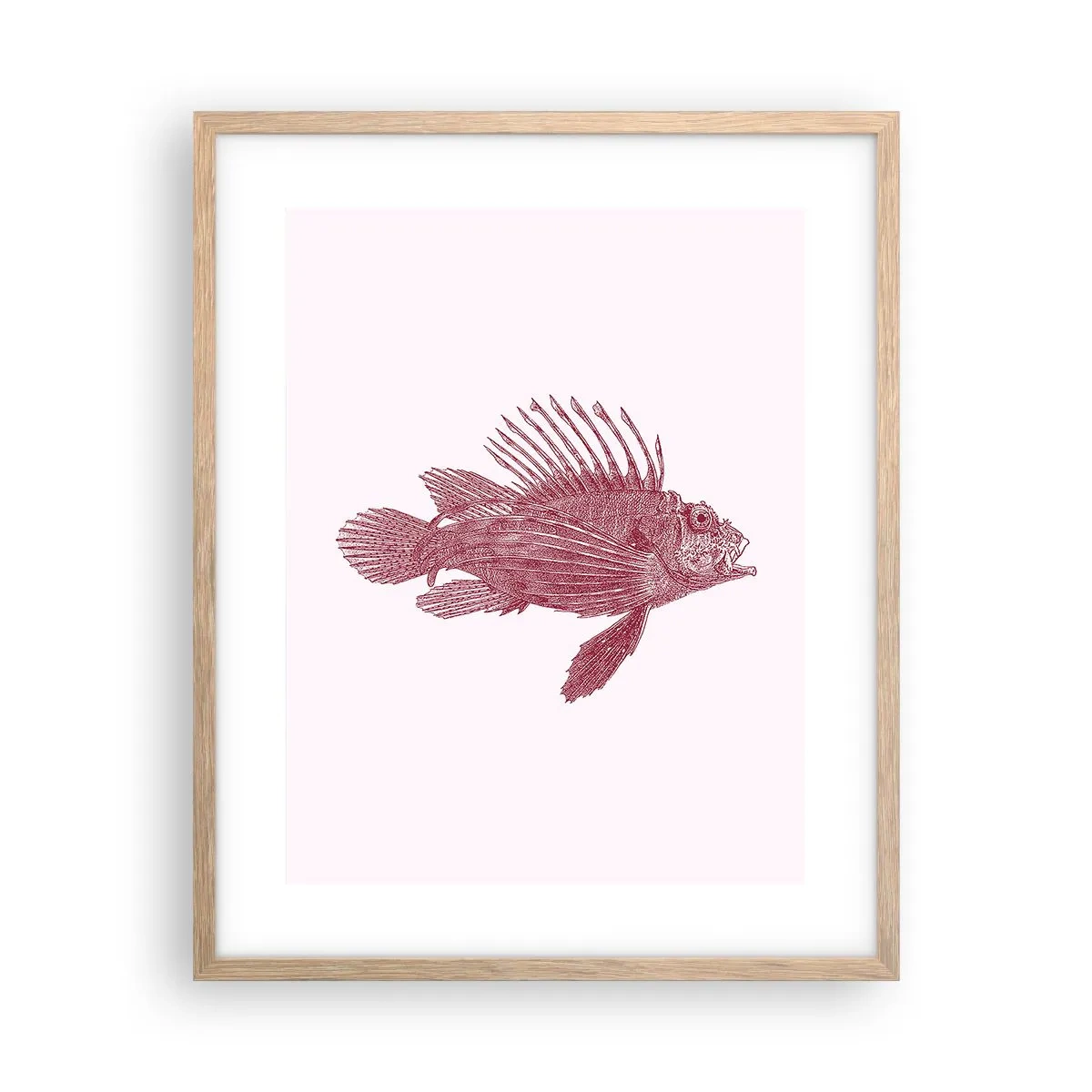 Poszter világos tölgy keretben - Egzotikus vizek lakója - 40x50 cm