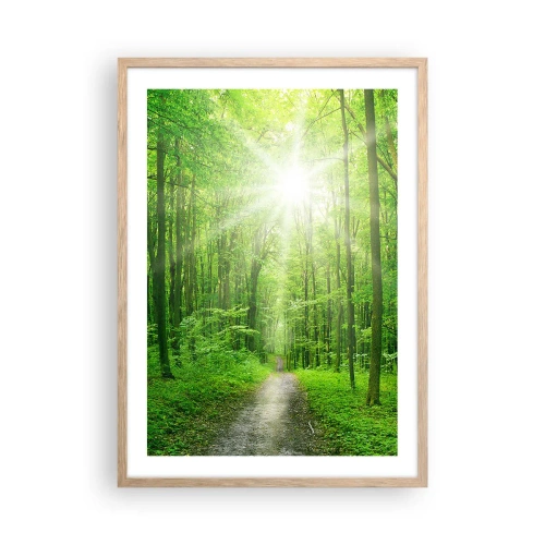 Poszter világos tölgy keretben - A zöld katedrális - 50x70 cm