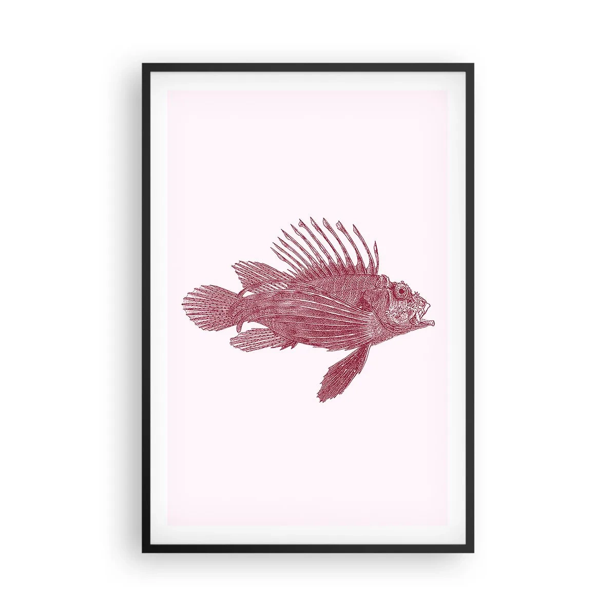 Poszter fehér keretben - Egzotikus vizek lakója - 61x91 cm
