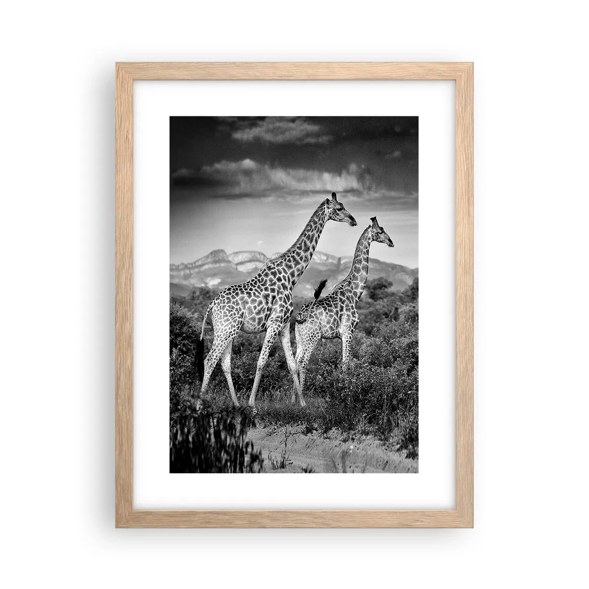 Poszter világos tölgy keretben - Magas rangok Afrikában - 30x40 cm