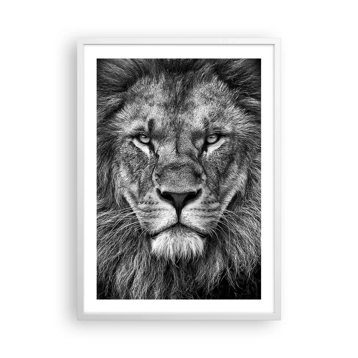 Poszter fekete keretben - Őfelségi palástban - 50x70 cm