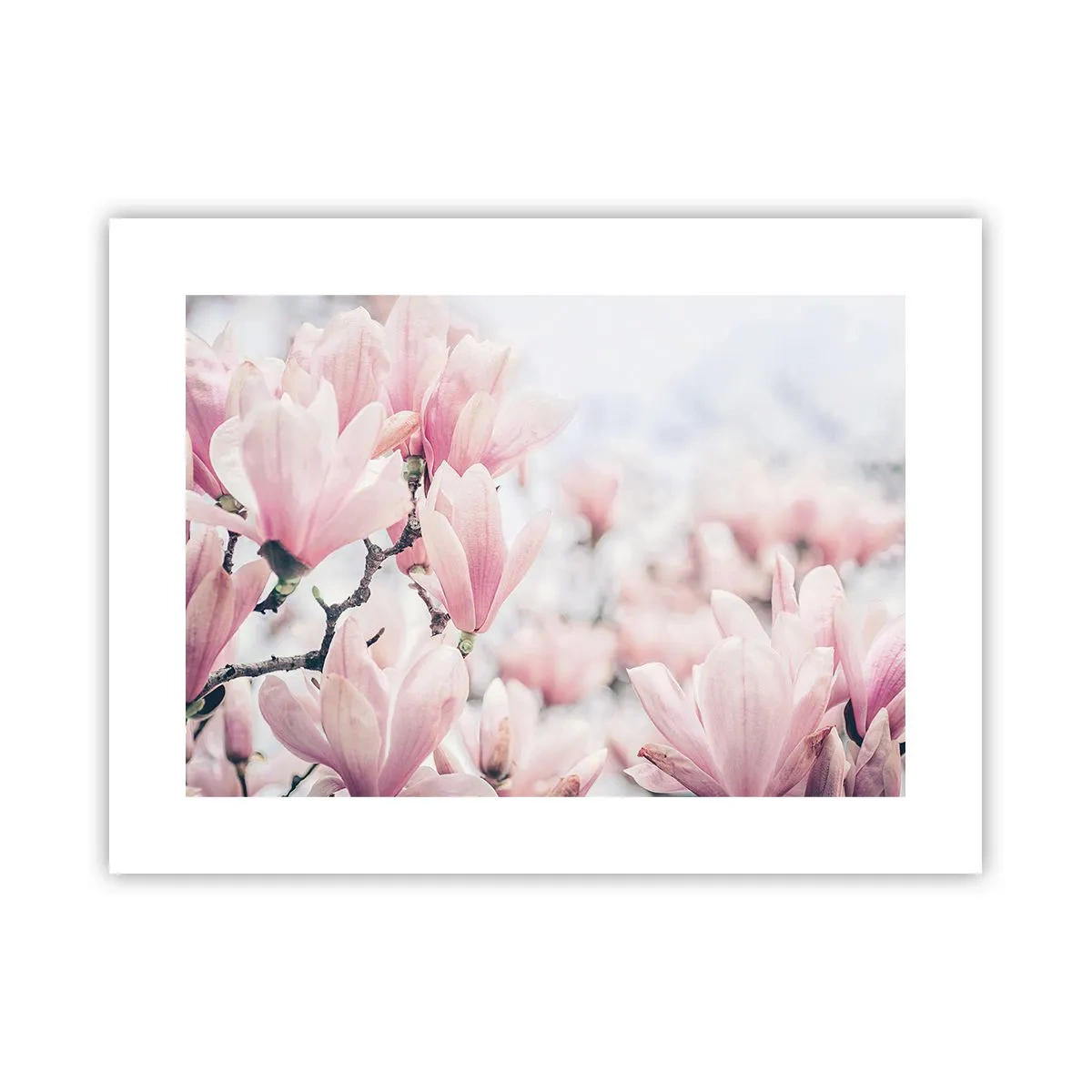 Poszter - A finomság eszménye - 40x30 cm