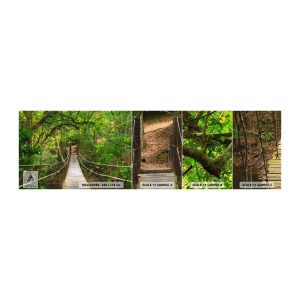 Fotótapéta Minta Öntapadós Deluxe Sticker - Mert van egy kúszónövény a kertben - Tájkép, Erdő, Természet - 100x30 cm