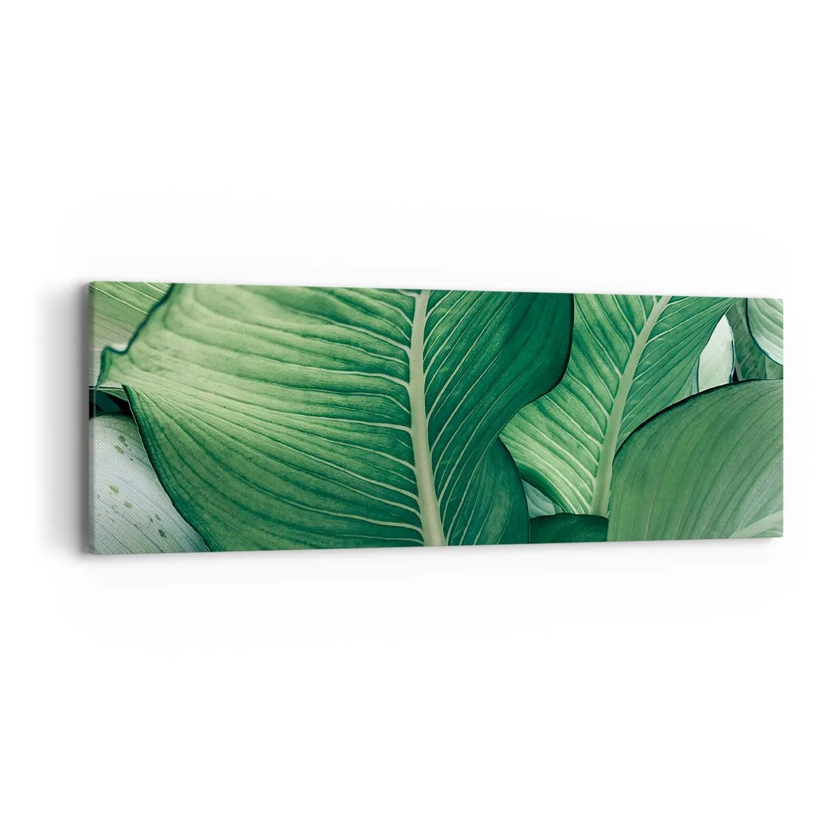 Vászonkép - Intenzíven zöld élet - 90x30 cm