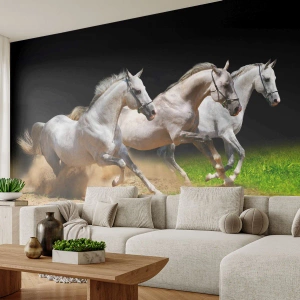 Fotótapéta Standard Eco - Három fehér ló vágtat át homokos terepen - 100x70cm - Három Kegyelem - Modern fali dekoráció nappalihoz és hálószobához ARTTOR