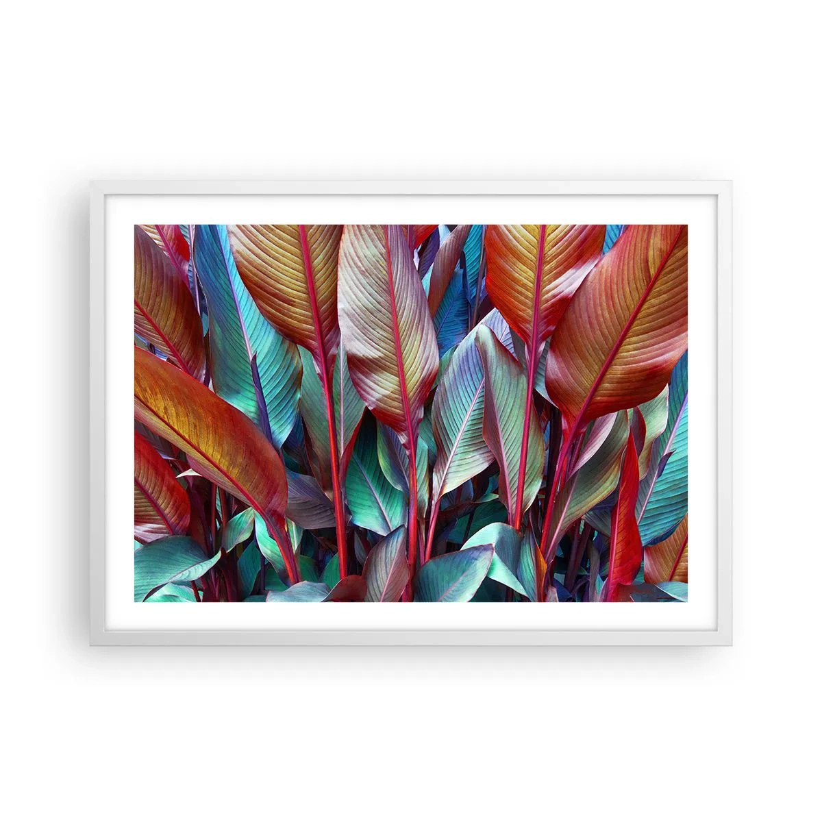 Poszter fekete keretben - Egy színes sűrű - 70x50 cm