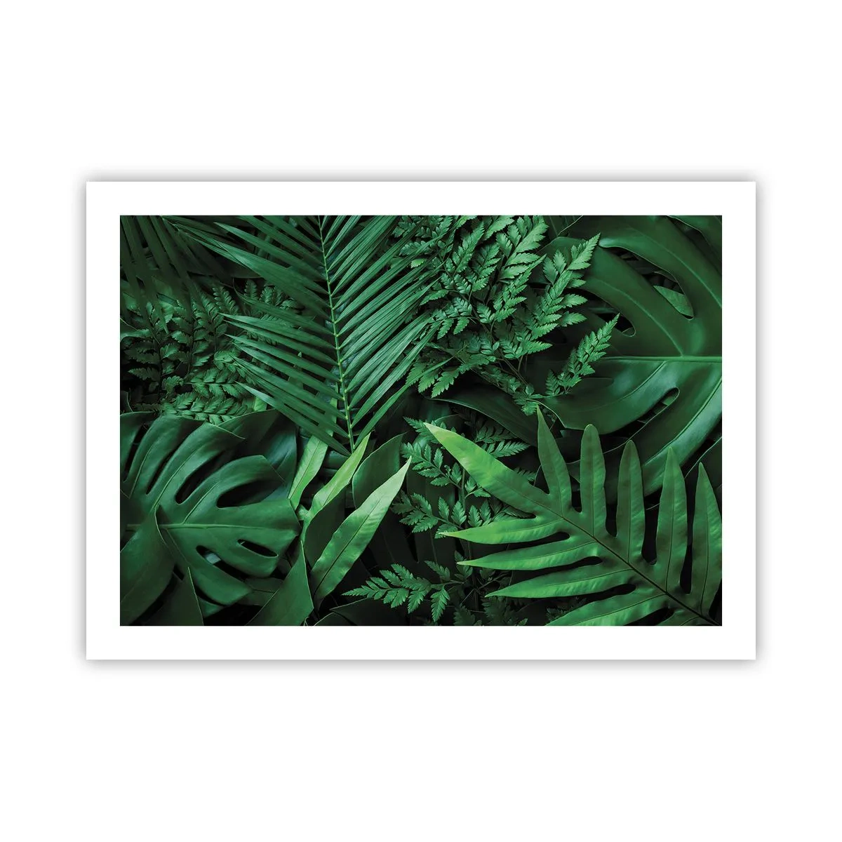 Poszter - Összebújva a zöldben - 70x50 cm