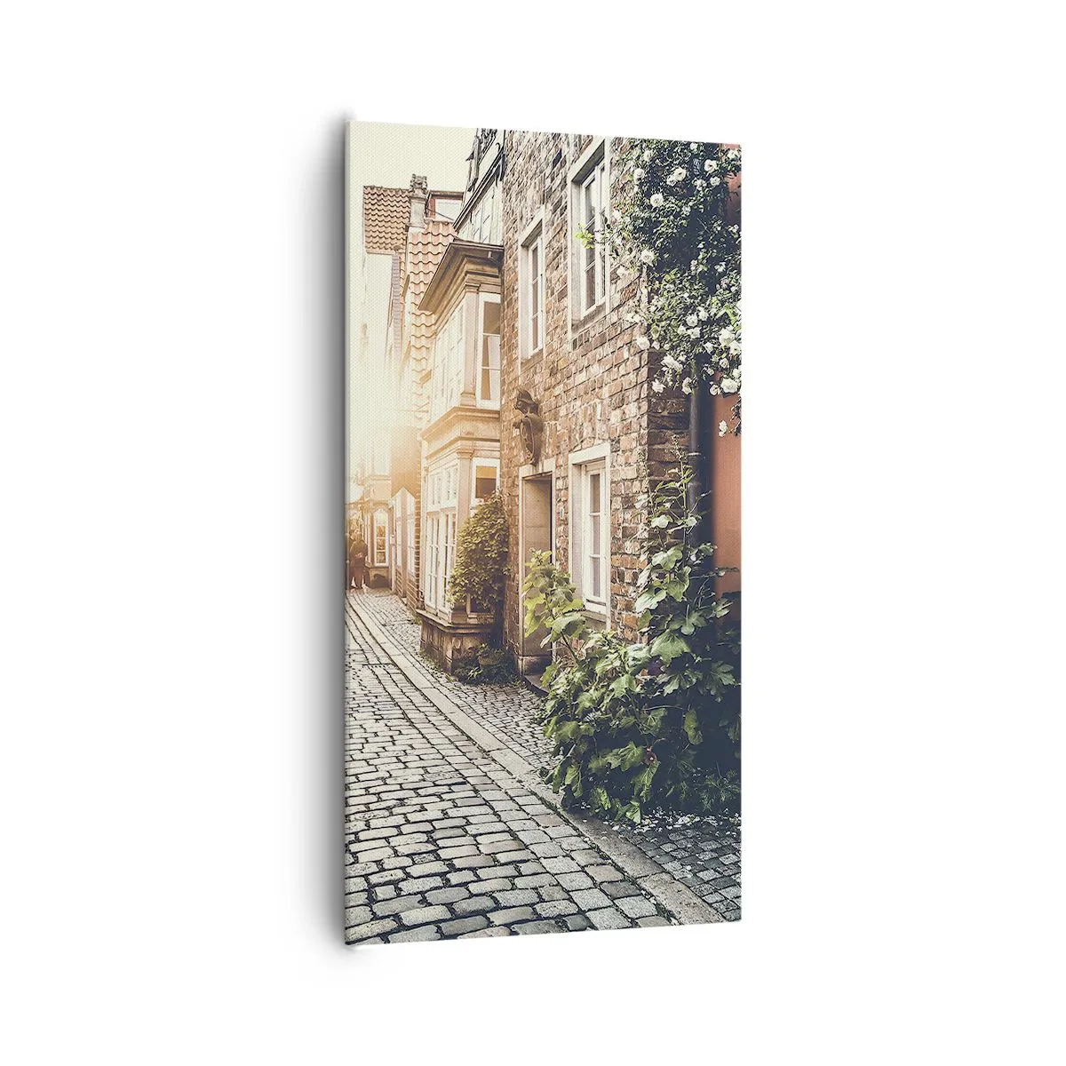 Vászonkép - Rózsa sikátor rózsaszín fényben - 65x120 cm